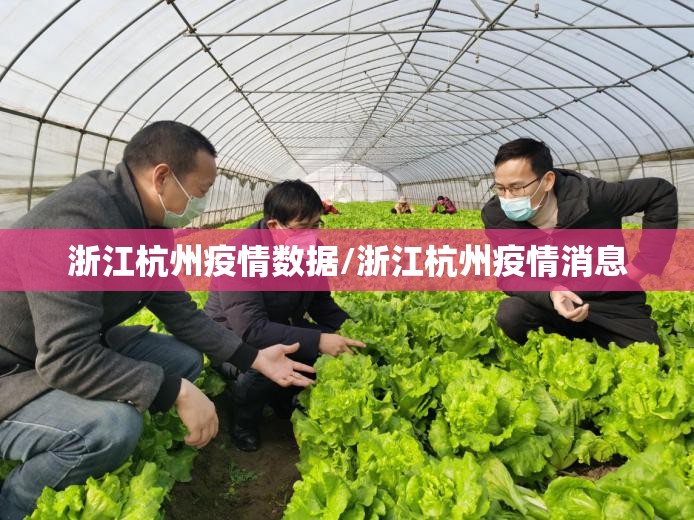 浙江杭州疫情数据/浙江杭州疫情消息
