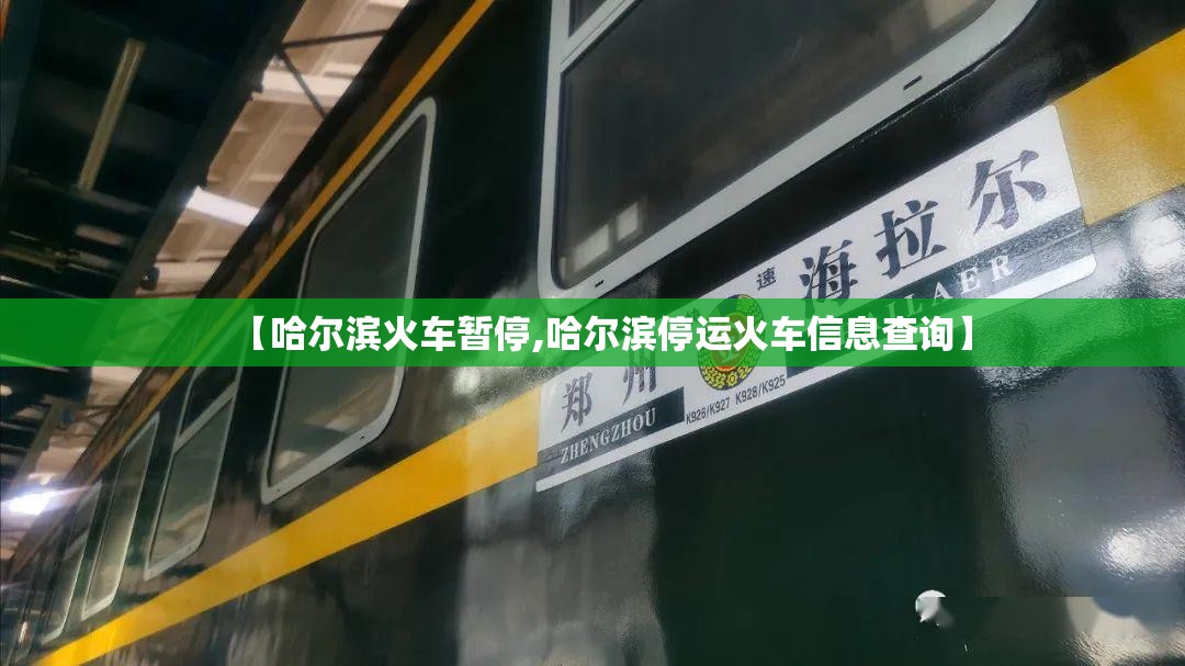 【哈尔滨火车暂停,哈尔滨停运火车信息查询】