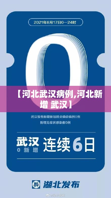 【河北武汉病例,河北新增 武汉】