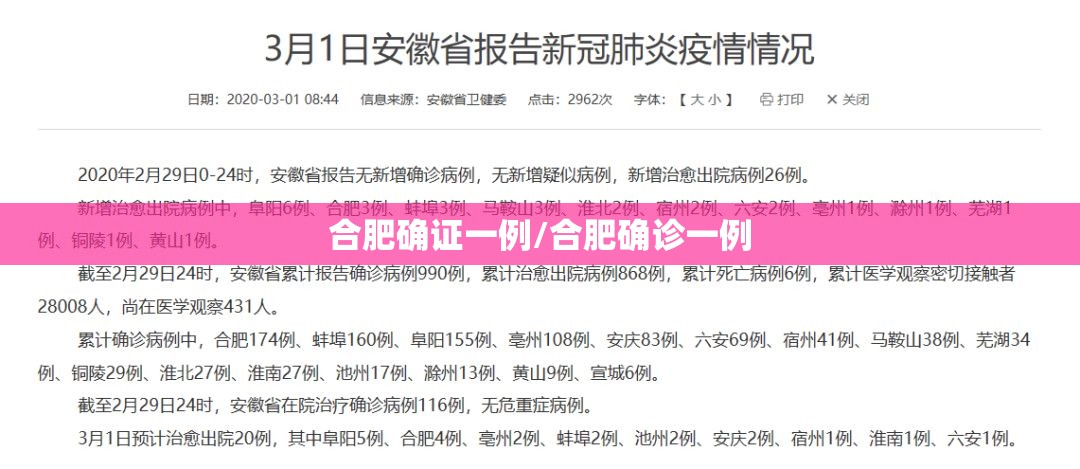 合肥确证一例/合肥确诊一例