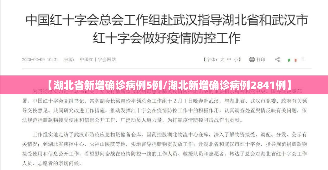 【湖北省新增确诊病例5例/湖北新增确诊病例2841例】