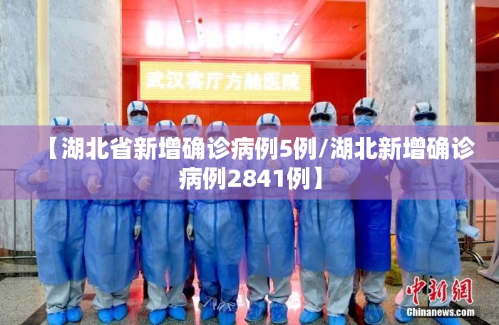 【湖北省新增确诊病例5例/湖北新增确诊病例2841例】