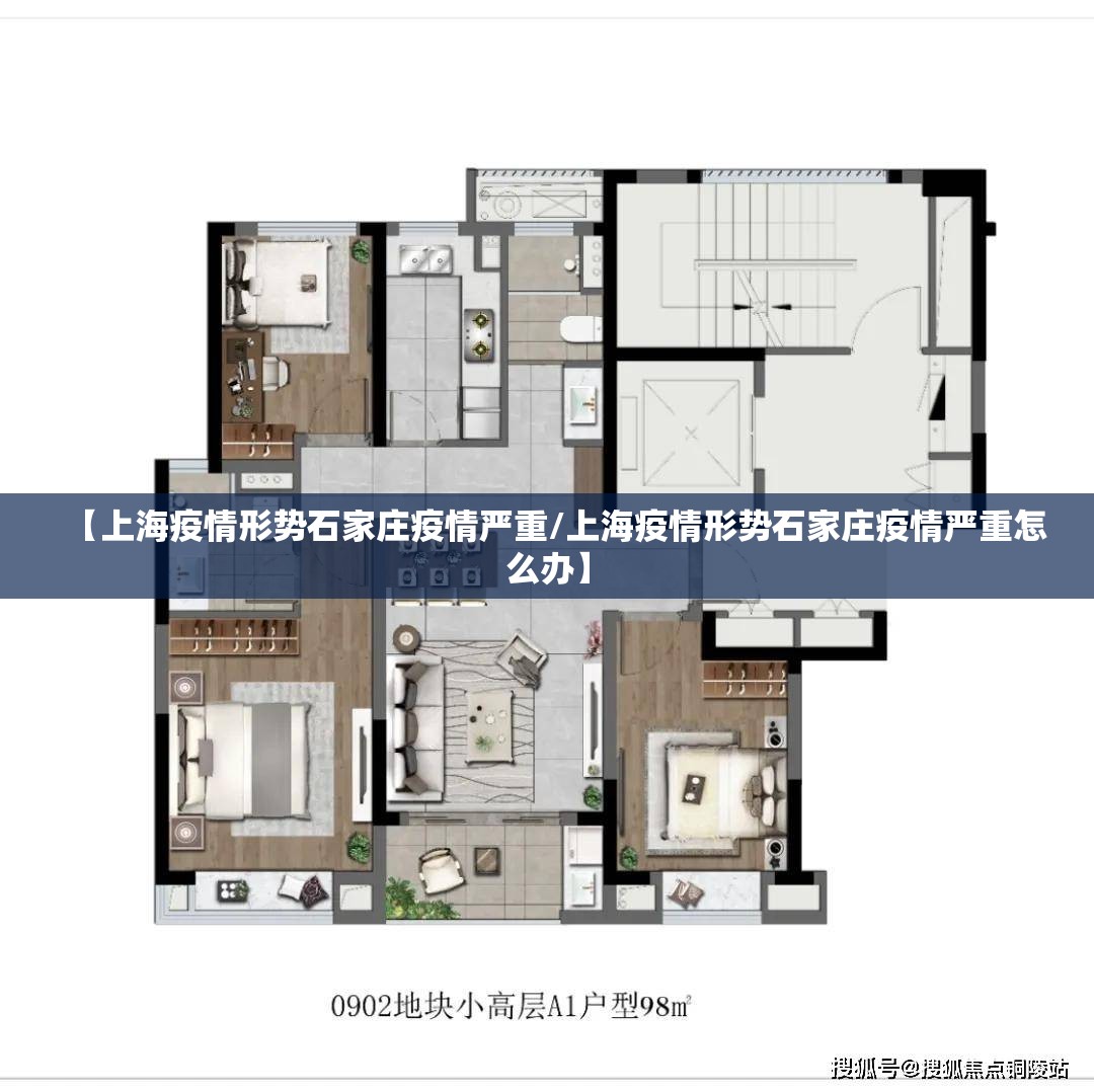 【上海疫情形势石家庄疫情严重/上海疫情形势石家庄疫情严重怎么办】