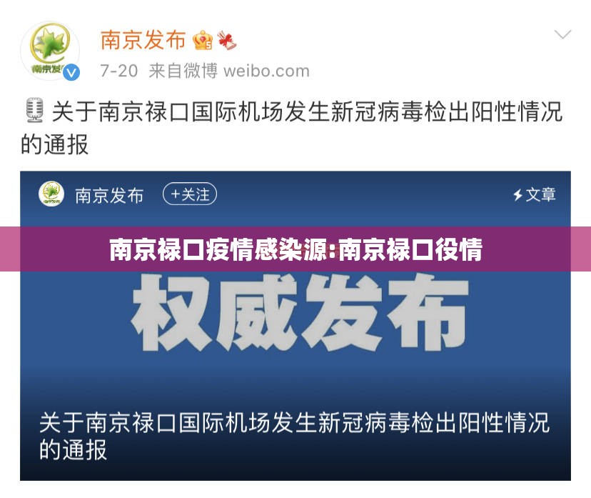 南京禄口疫情感染源:南京禄口役情