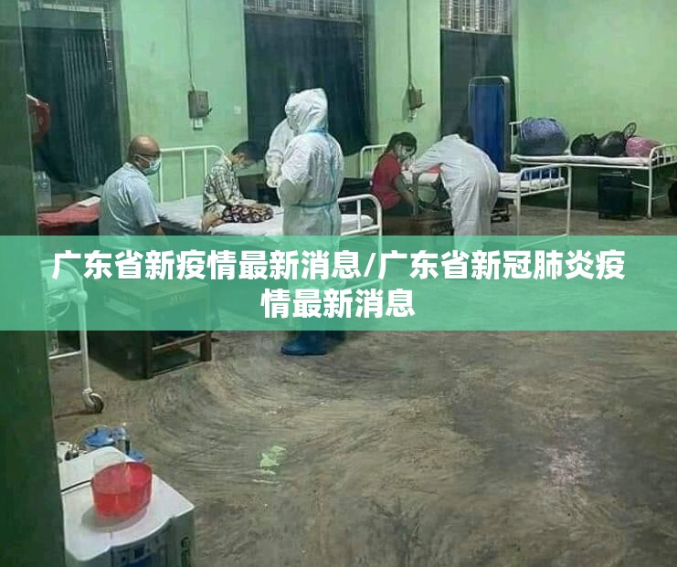 广东省新疫情最新消息/广东省新冠肺炎疫情最新消息