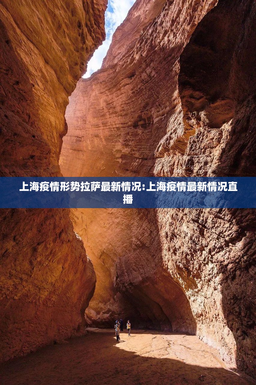 上海疫情形势拉萨最新情况:上海疫情最新情况直播