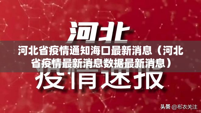 河北省疫情通知海口最新消息（河北省疫情最新消息数据最新消息）