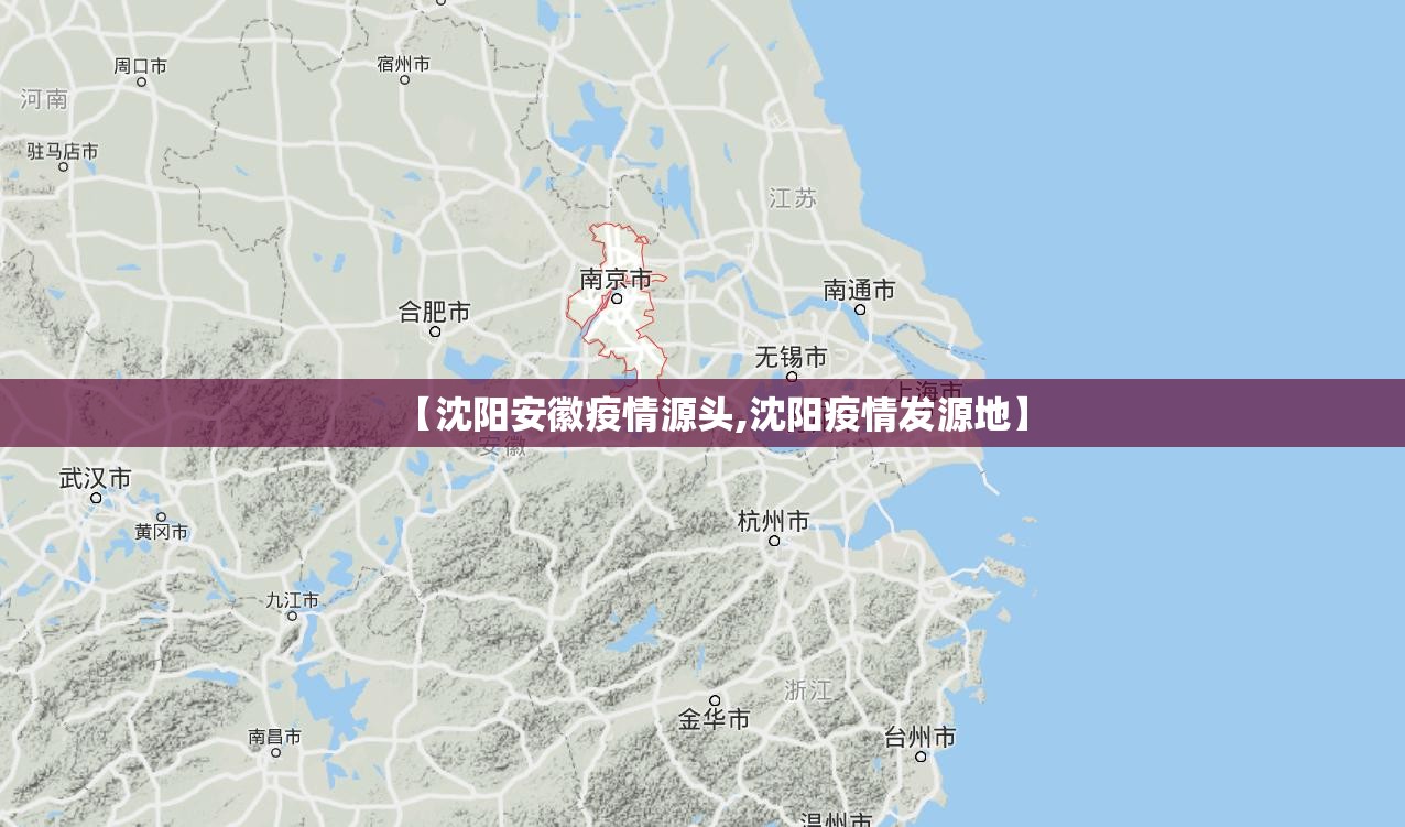【沈阳安徽疫情源头,沈阳疫情发源地】