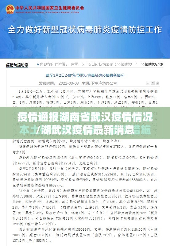 疫情通报湖南省武汉疫情情况/湖武汉疫情最新消息