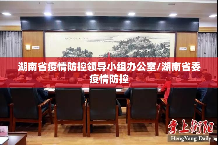 湖南省疫情防控领导小组办公室/湖南省委疫情防控