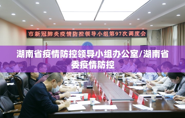 湖南省疫情防控领导小组办公室/湖南省委疫情防控