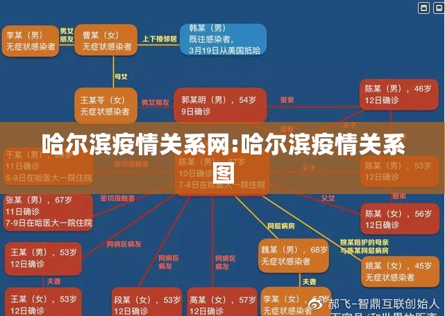 哈尔滨疫情关系网:哈尔滨疫情关系图