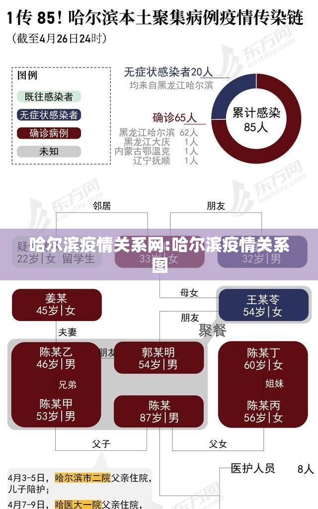 哈尔滨疫情关系网:哈尔滨疫情关系图