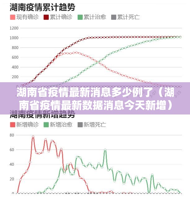 湖南省疫情最新消息多少例了（湖南省疫情最新数据消息今天新增）