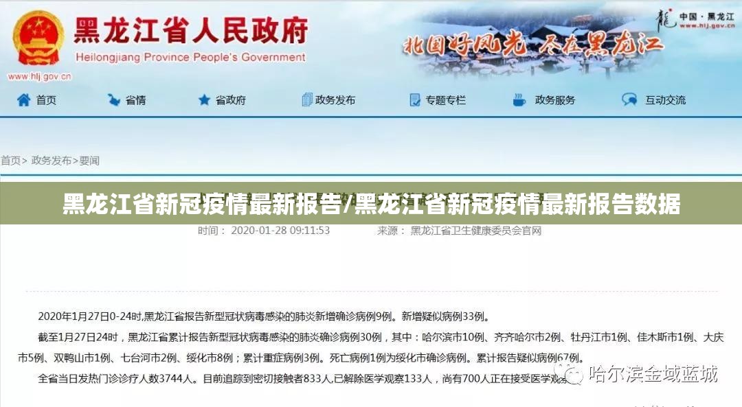 黑龙江省新冠疫情最新报告/黑龙江省新冠疫情最新报告数据
