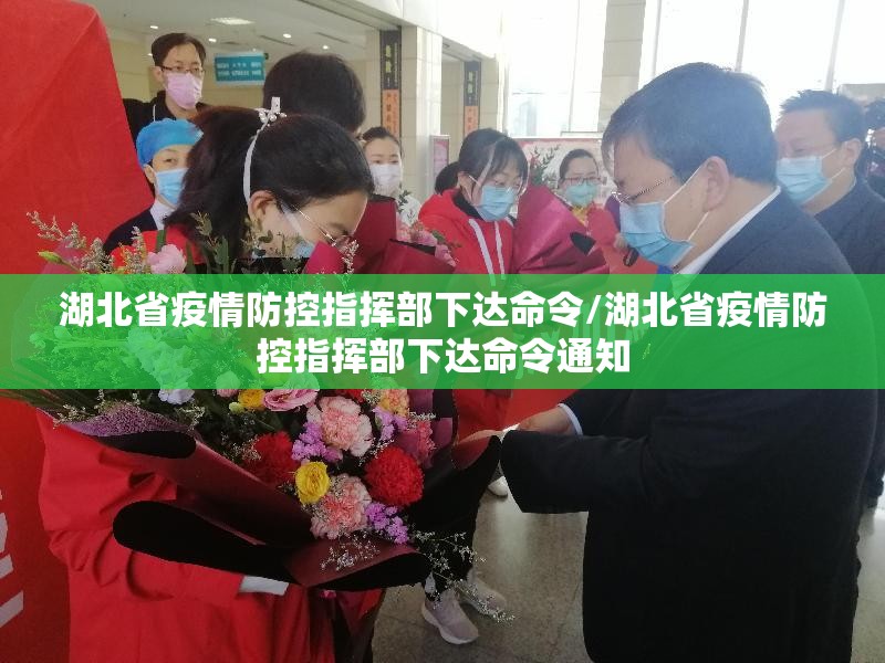 湖北省疫情防控指挥部下达命令/湖北省疫情防控指挥部下达命令通知