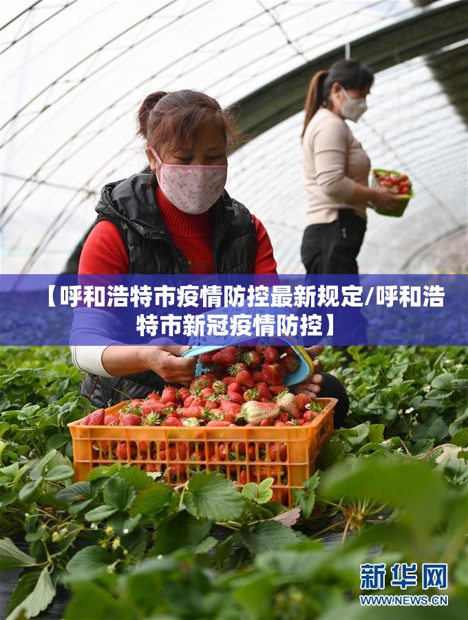 【呼和浩特市疫情防控最新规定/呼和浩特市新冠疫情防控】