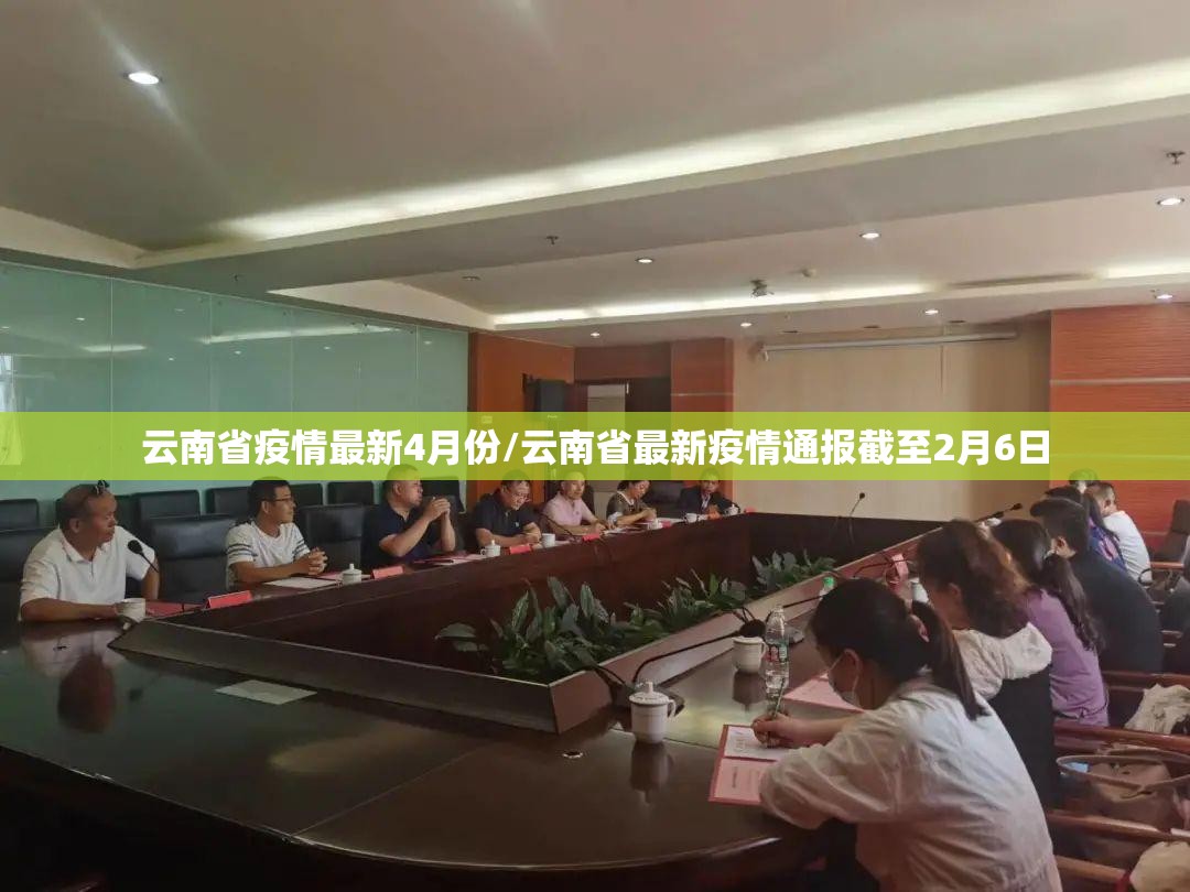 云南省疫情最新4月份/云南省最新疫情通报截至2月6日