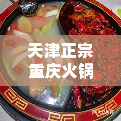天津正宗重庆火锅排名/天津最好吃的重庆火锅