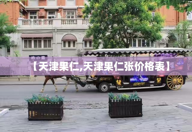 【天津果仁,天津果仁张价格表】