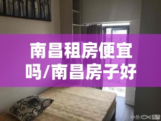 南昌租房便宜吗/南昌房子好租吗