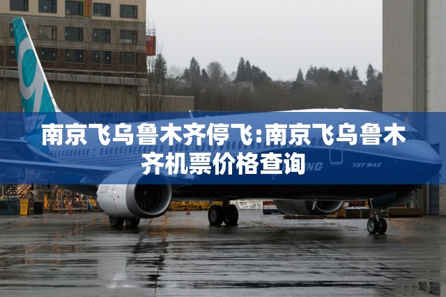 南京飞乌鲁木齐停飞:南京飞乌鲁木齐机票价格查询