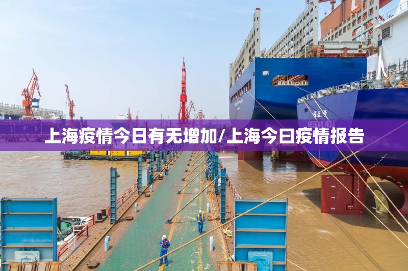 上海疫情今日有无增加/上海今曰疫情报告