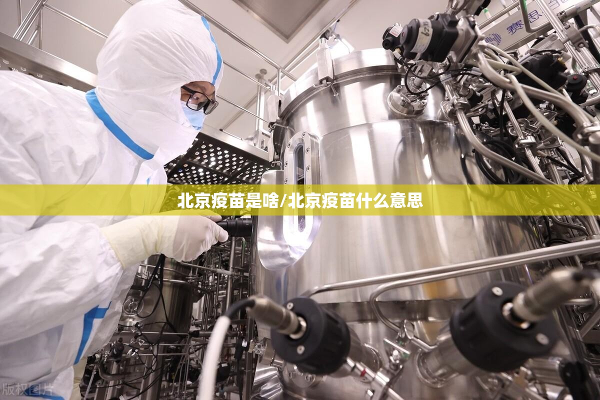 北京疫苗是啥/北京疫苗什么意思