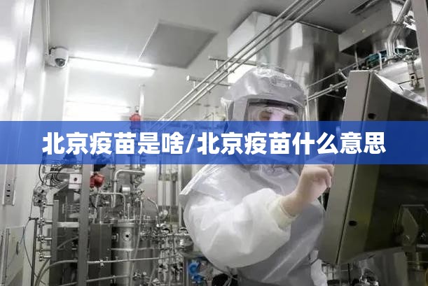 北京疫苗是啥/北京疫苗什么意思