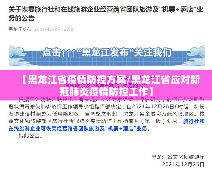 【黑龙江省疫情防控方案/黑龙江省应对新冠肺炎疫情防控工作】