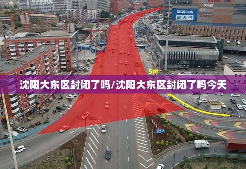沈阳大东区封闭了吗/沈阳大东区封闭了吗今天