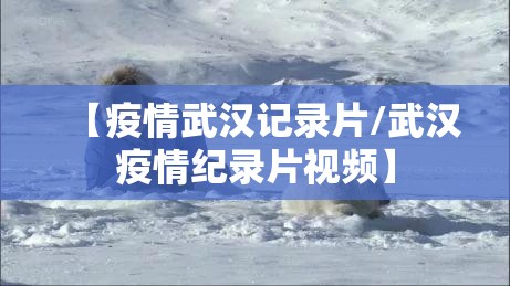 【疫情武汉记录片/武汉疫情纪录片视频】