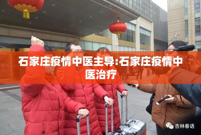石家庄疫情中医主导:石家庄疫情中医治疗