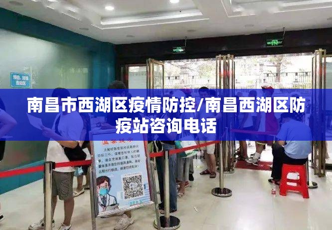 南昌市西湖区疫情防控/南昌西湖区防疫站咨询电话