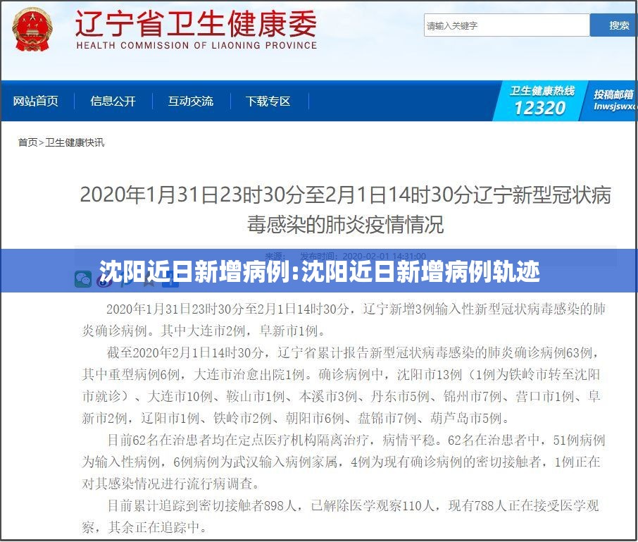 沈阳近日新增病例:沈阳近日新增病例轨迹