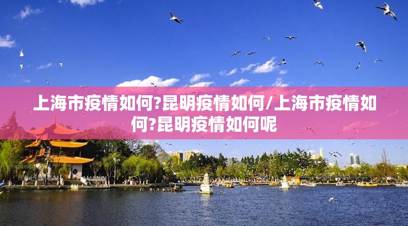 上海市疫情如何?昆明疫情如何/上海市疫情如何?昆明疫情如何呢