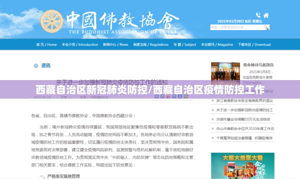 西藏自治区新冠肺炎防控/西藏自治区疫情防控工作
