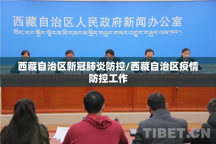西藏自治区新冠肺炎防控/西藏自治区疫情防控工作