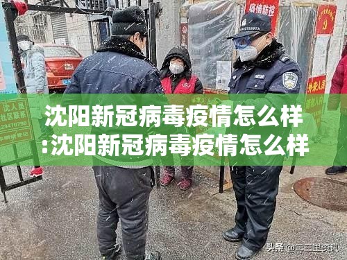 沈阳新冠病毒疫情怎么样:沈阳新冠病毒疫情怎么样今天