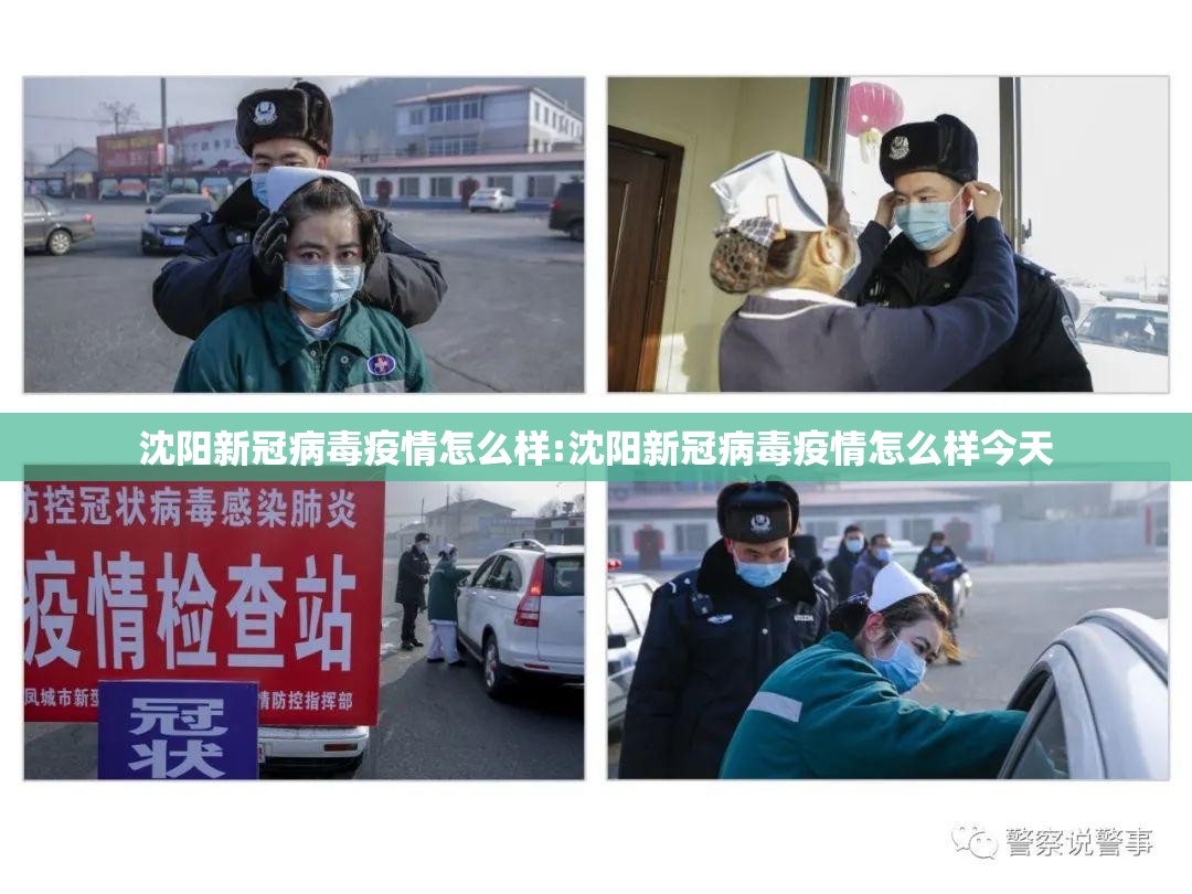 沈阳新冠病毒疫情怎么样:沈阳新冠病毒疫情怎么样今天