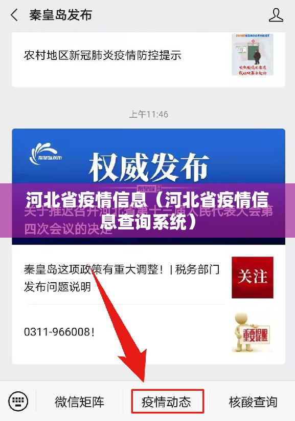 河北省疫情信息（河北省疫情信息查询系统）