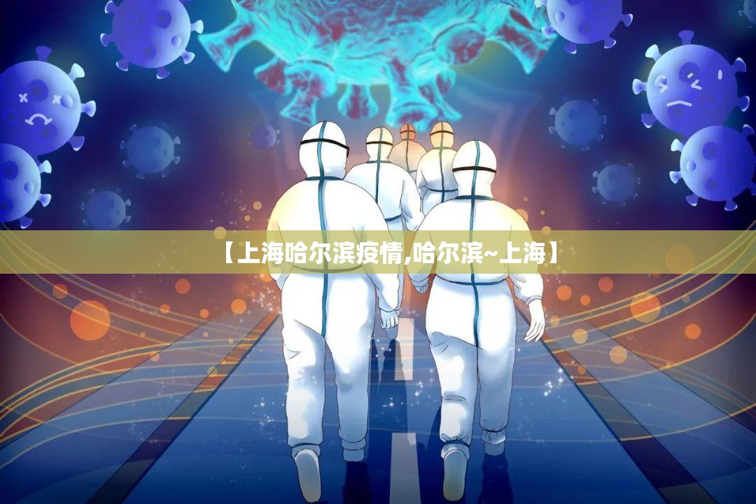【上海哈尔滨疫情,哈尔滨~上海】