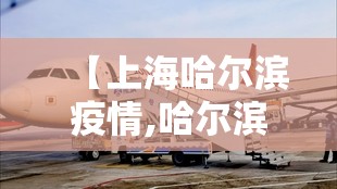 【上海哈尔滨疫情,哈尔滨~上海】