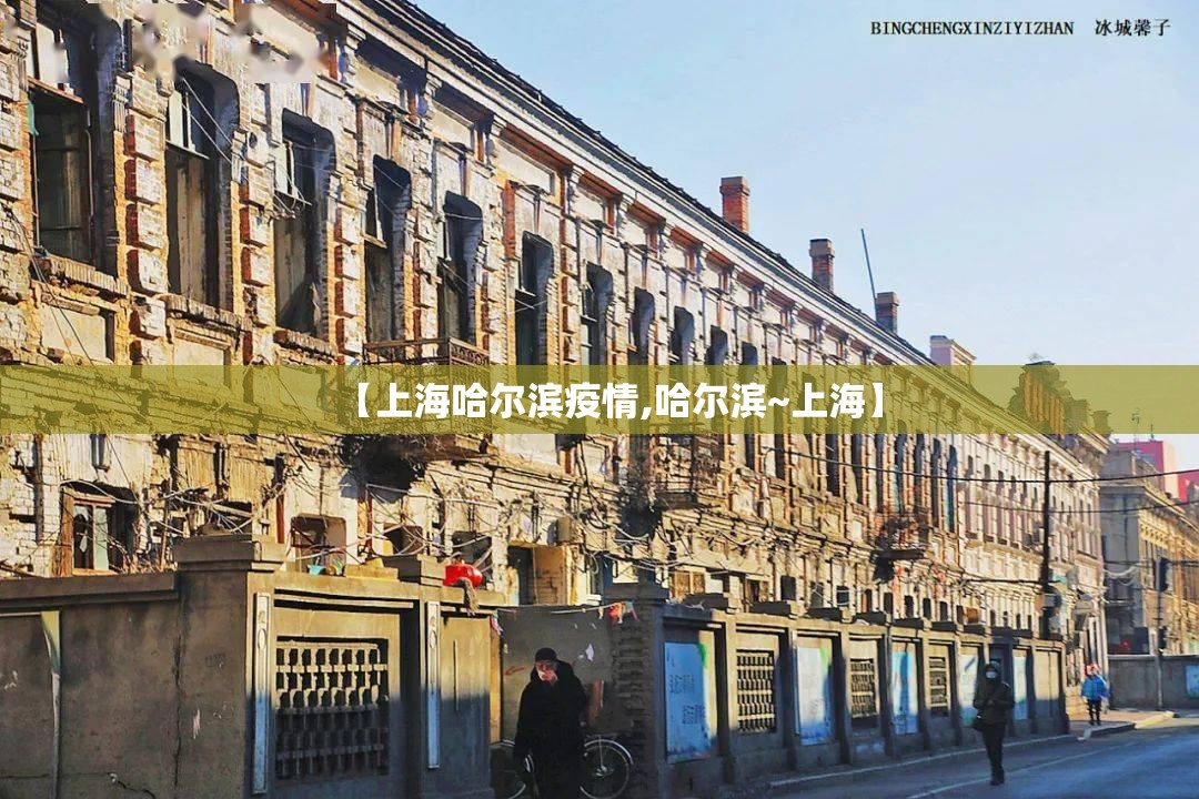 【上海哈尔滨疫情,哈尔滨~上海】