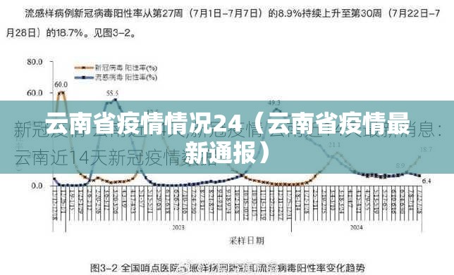 云南省疫情情况24（云南省疫情最新通报）