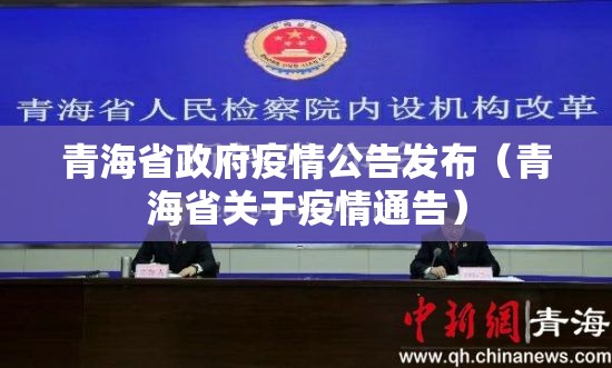 青海省政府疫情公告发布（青海省关于疫情通告）