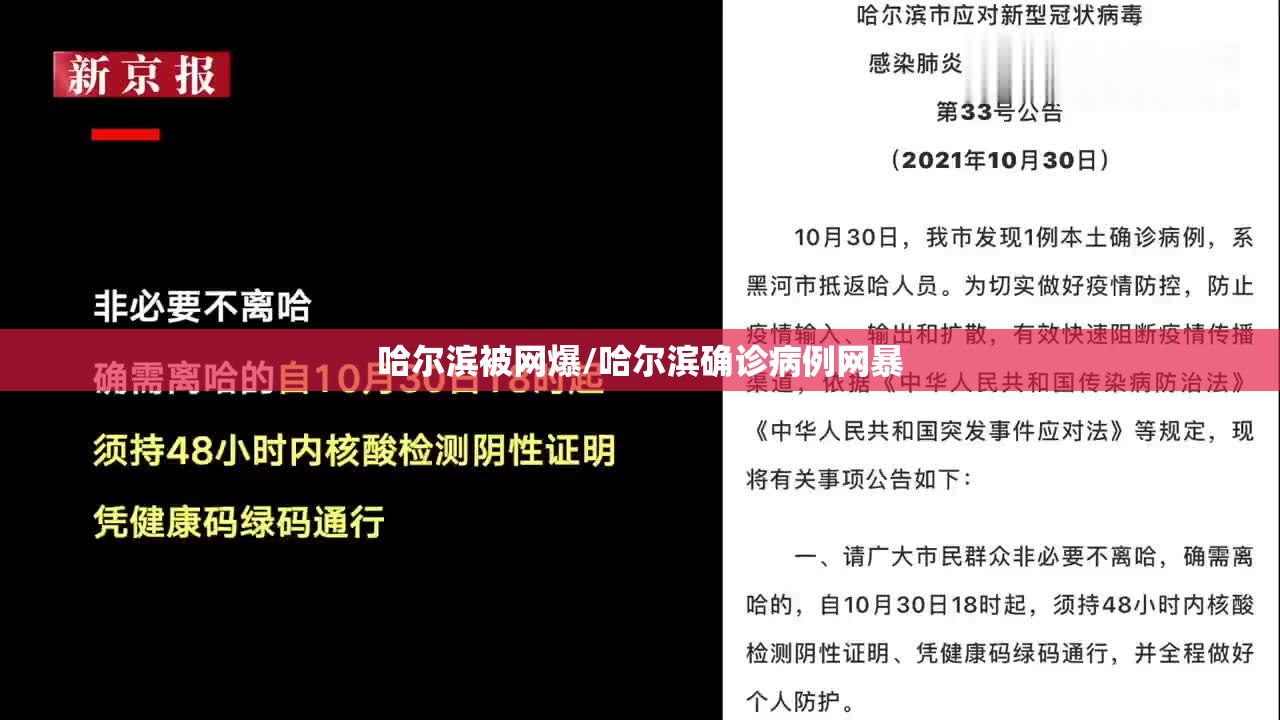 哈尔滨被网爆/哈尔滨确诊病例网暴