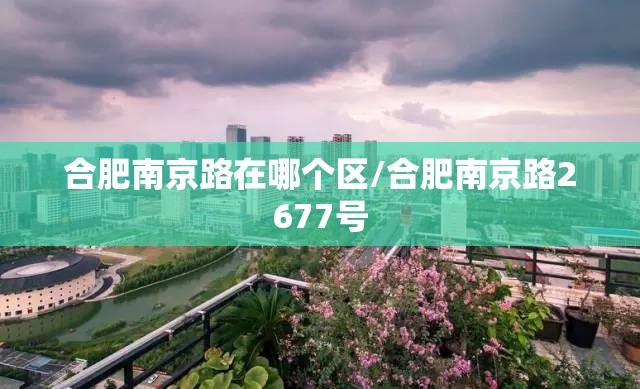 合肥南京路在哪个区/合肥南京路2677号