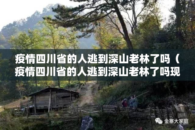 疫情四川省的人逃到深山老林了吗（疫情四川省的人逃到深山老林了吗现在）