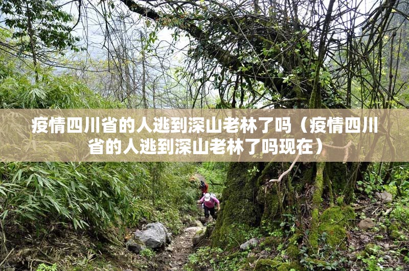 疫情四川省的人逃到深山老林了吗（疫情四川省的人逃到深山老林了吗现在）